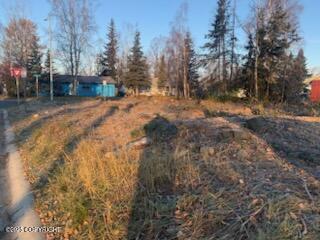 NHN Stewart Street, Anchorage, Alaska image 3