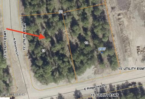 Photo of NHN N Shanny Lane, Wasilla, AK 99654 (MLS # 26-4122)