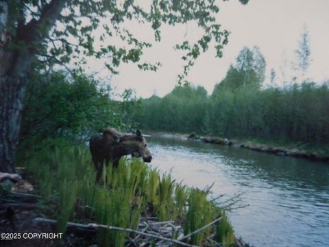 Vacant Land For Sale - L3-1 Chase 2<br/> Talkeetna, AK 99676