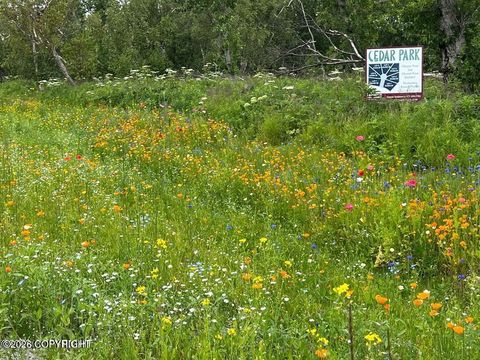 Photo of 830 E Blue Atlas Circle, Palmer, AK 99645 (MLS # 26-3524)