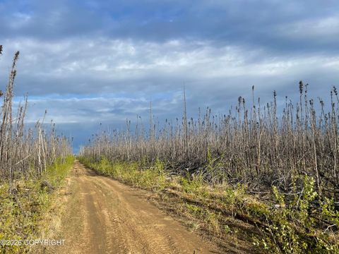Photo of NHN Lightning Avenue, Clear, AK 99743 (MLS # 26-5688)