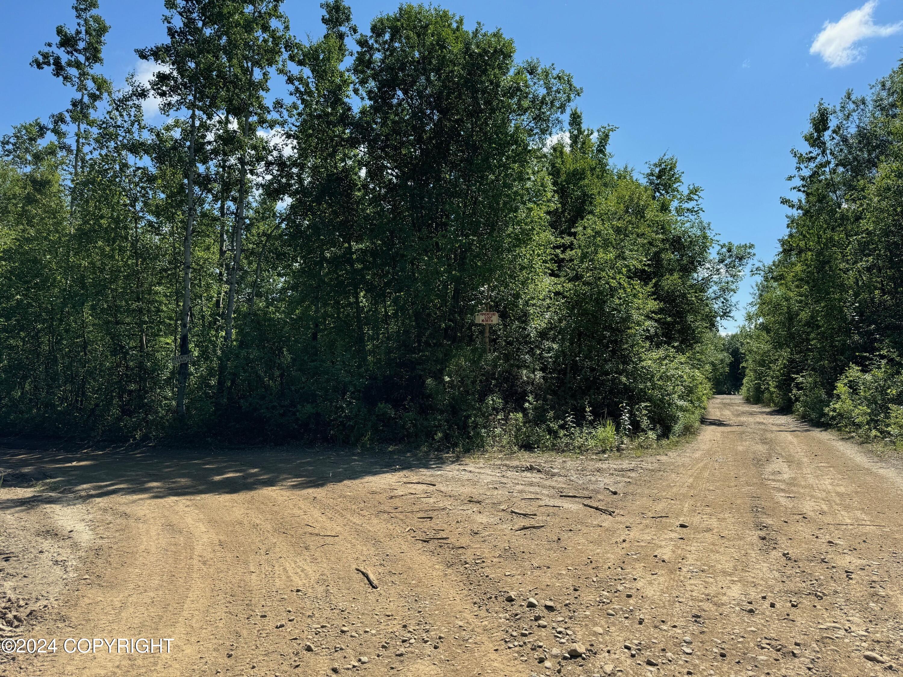 B005 Private Road, Willow, Texas image 14