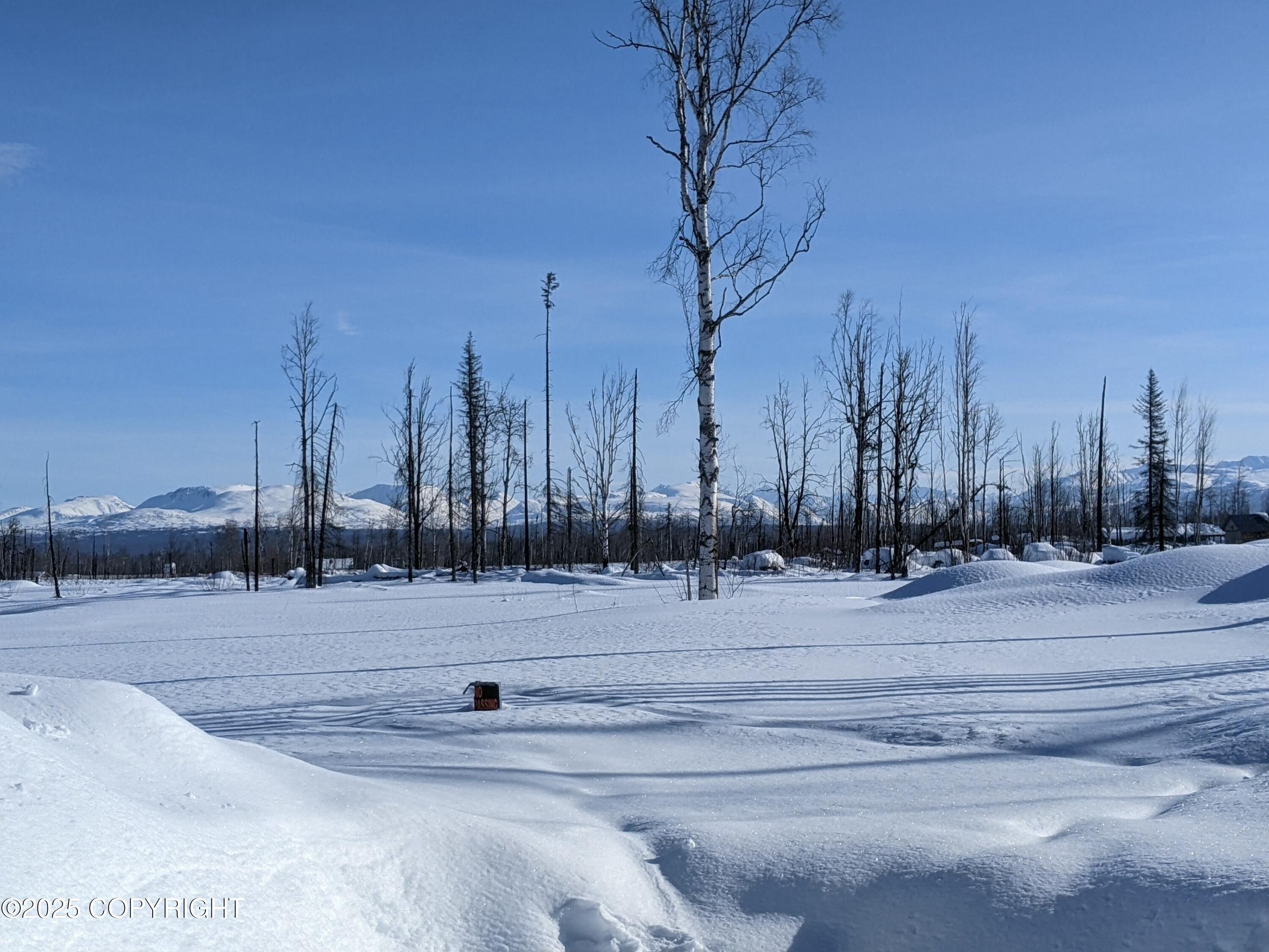 47345 S Hawk Avenue, Willow, Idaho image 2