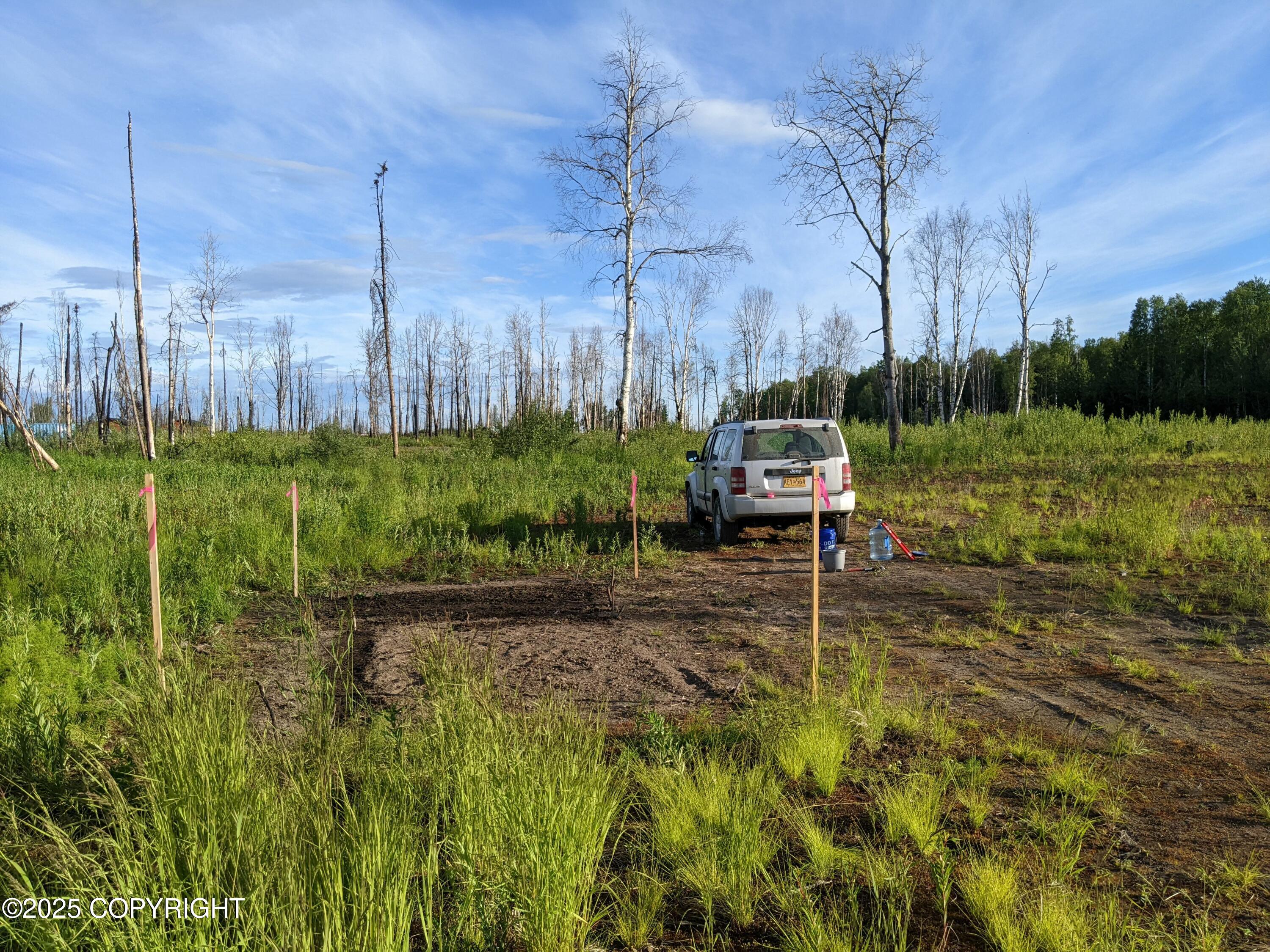 47345 S Hawk Avenue, Willow, Idaho image 7