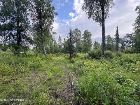 Vacant Land For Sale - 11360 E Wolf Trail<br/> Trapper Creek, AK 99683