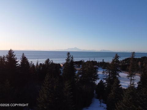 Photo of 35048 Spruce Vw Street, Anchor Point, AK 99556 (MLS # 26-3575)