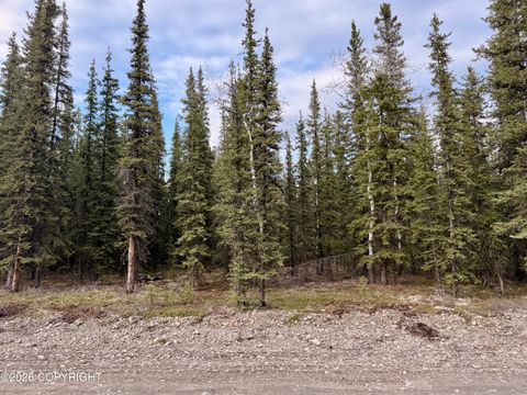 Photo of L14B9 Pringle Road, Tok, AK 99780 (MLS # 26-5530)