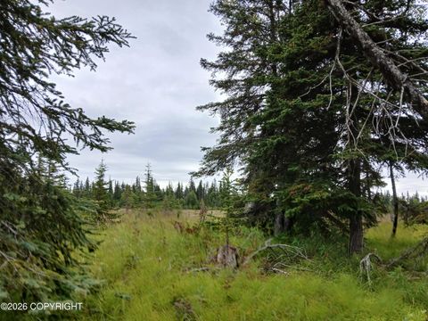 Photo of L17 Marik Street, Anchor Point, AK 99556 (MLS # 26-4958)