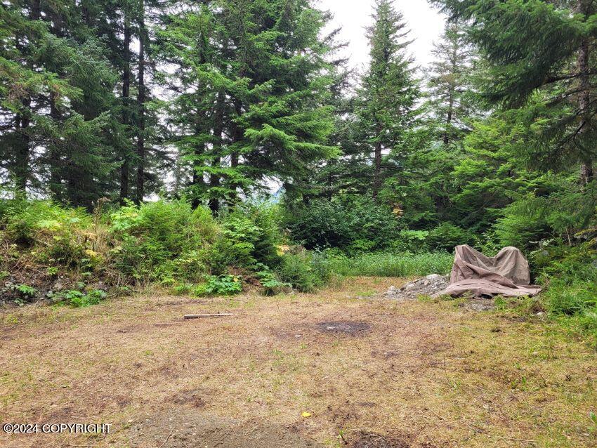 4153 N Lutak Road #44, Haines, Alaska image 11