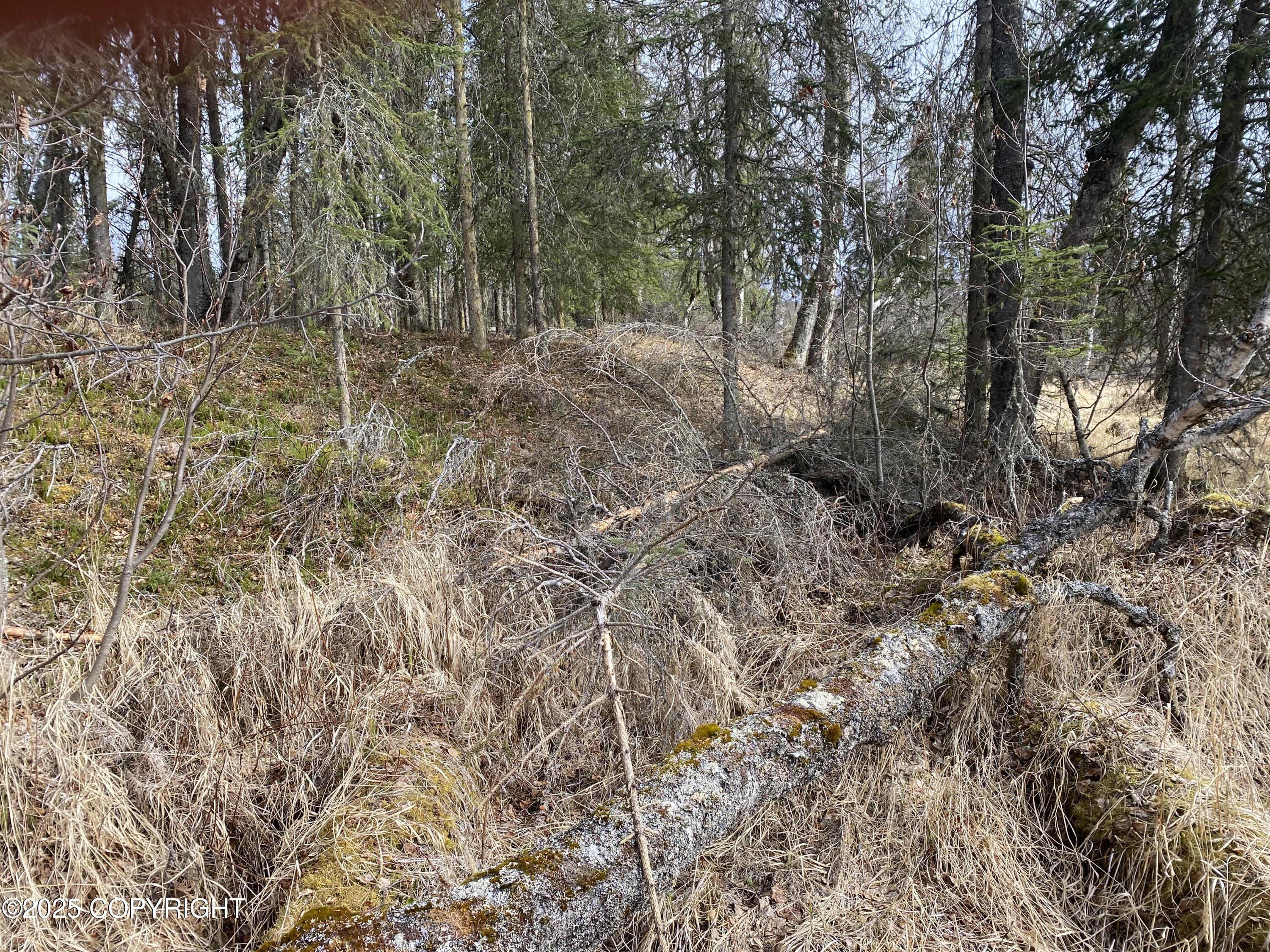 37157 King Country Place, Soldotna, Alaska image 4