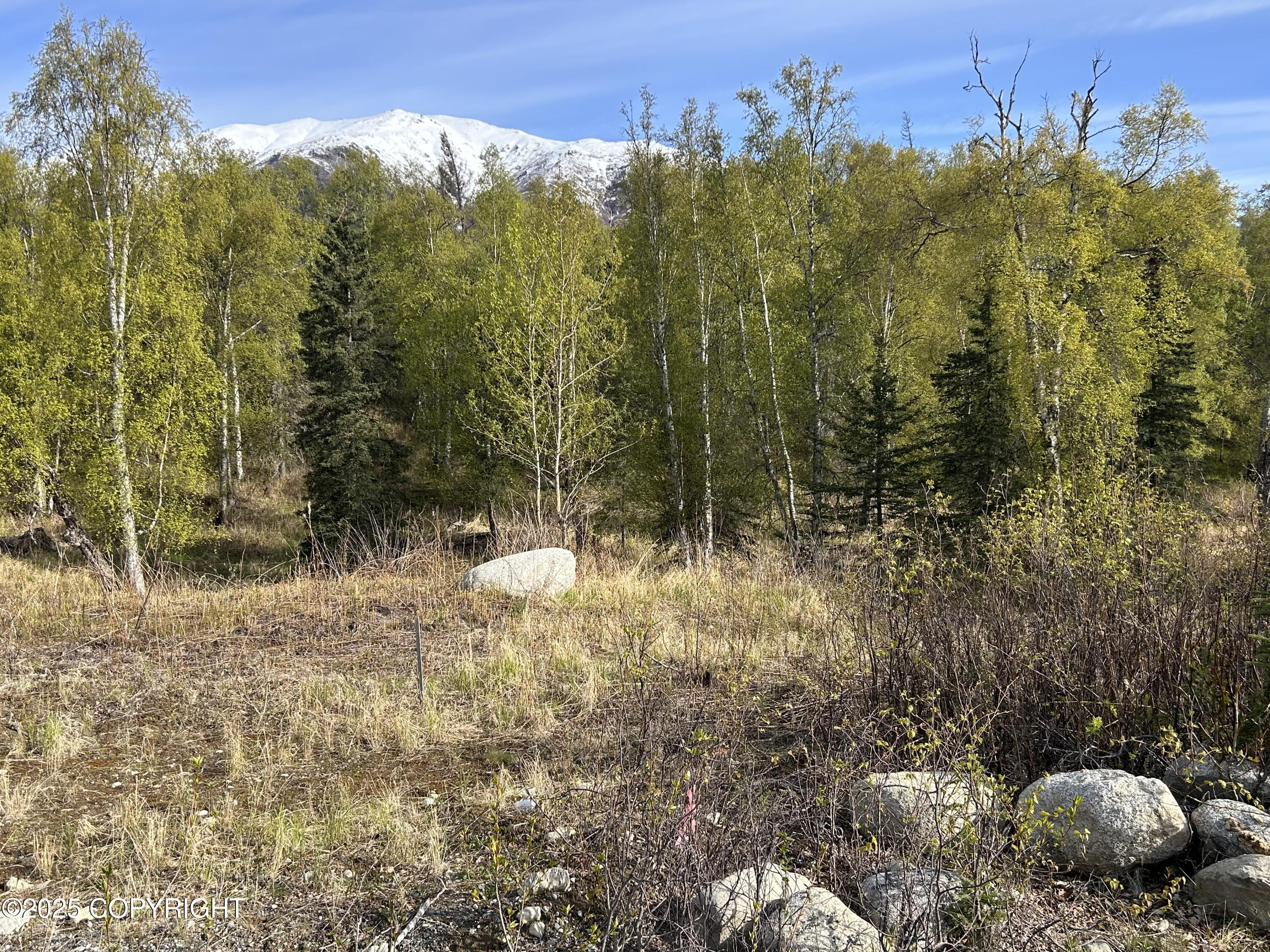 000 N Wasilla Fishhook Road, Wasilla, Alaska image 6