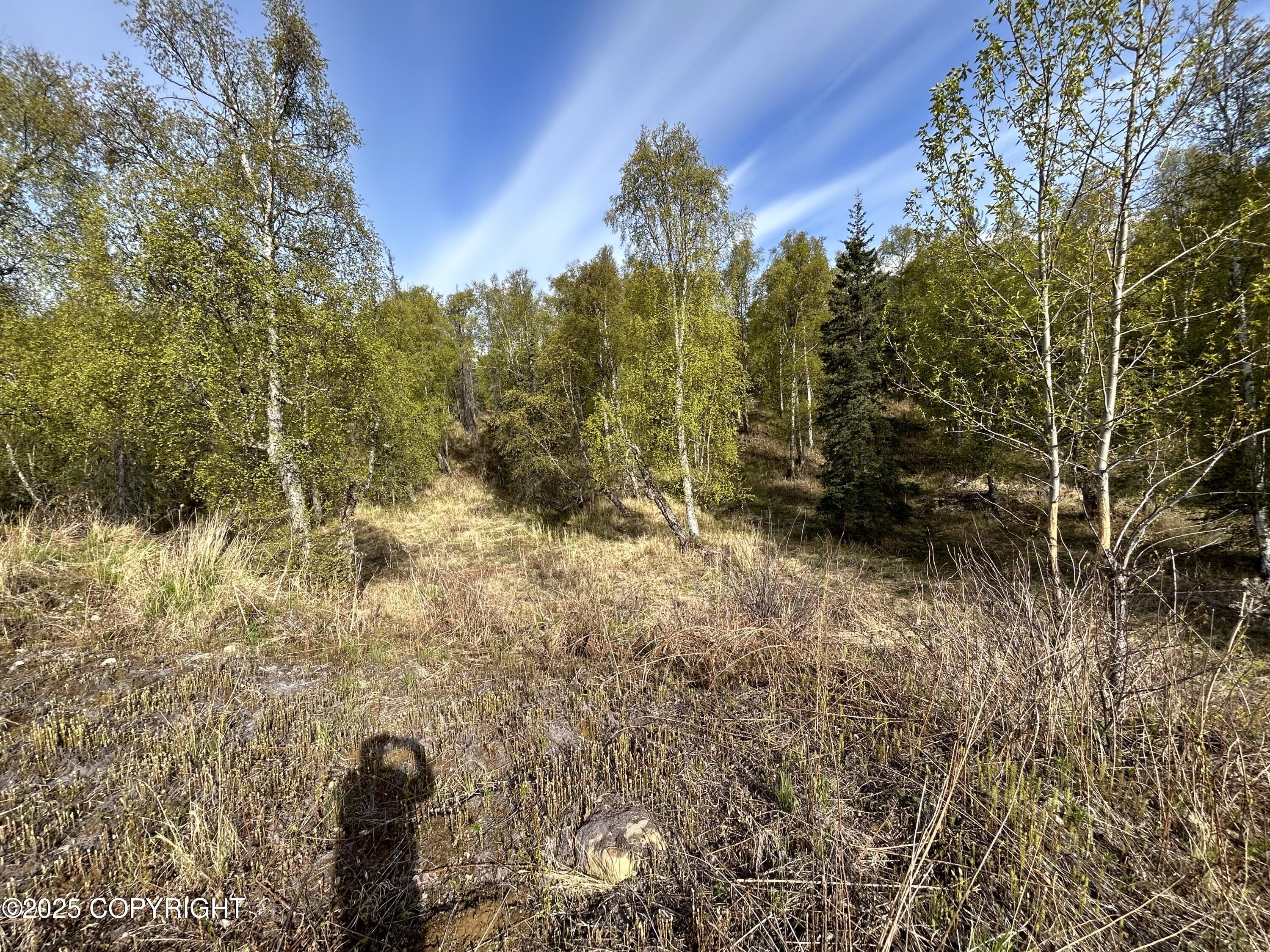 000 N Wasilla Fishhook Road, Wasilla, Alaska image 4