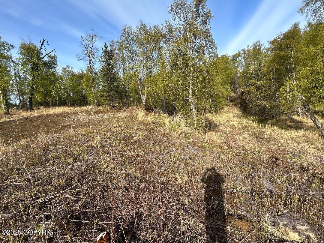000 N Wasilla Fishhook Road, Wasilla, Alaska image 3