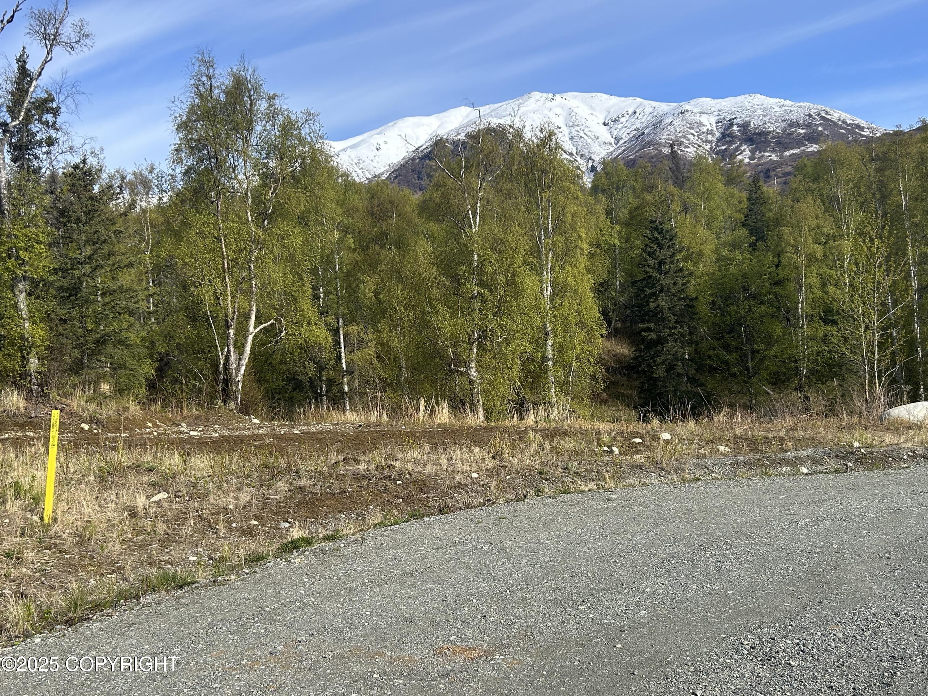 000 N Wasilla Fishhook Road, Wasilla, Alaska image 7