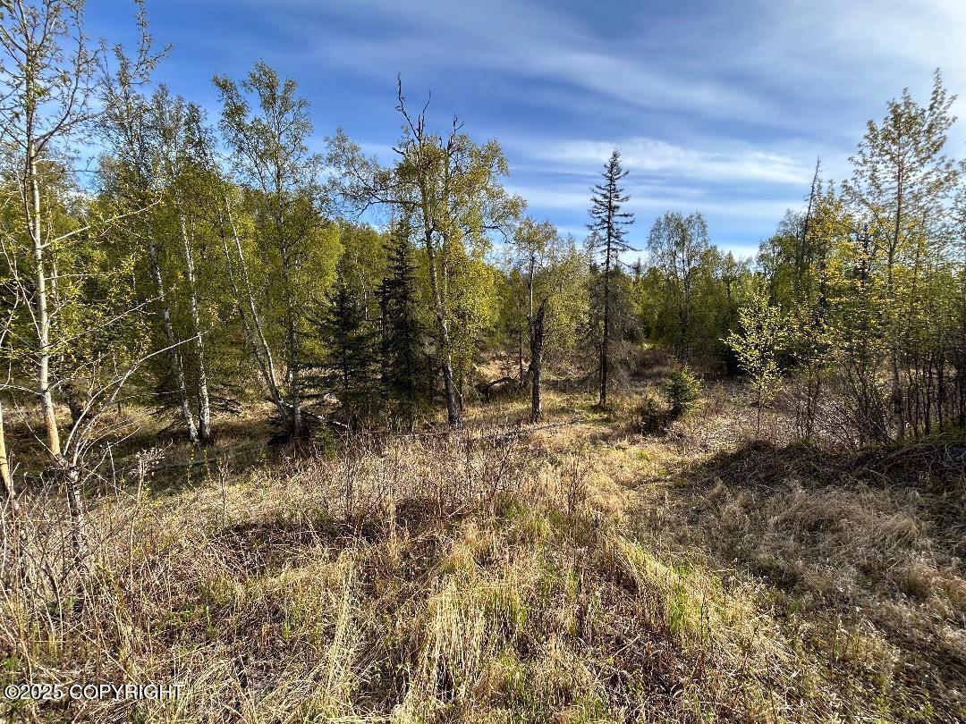 000 N Wasilla Fishhook Road, Wasilla, Alaska image 5