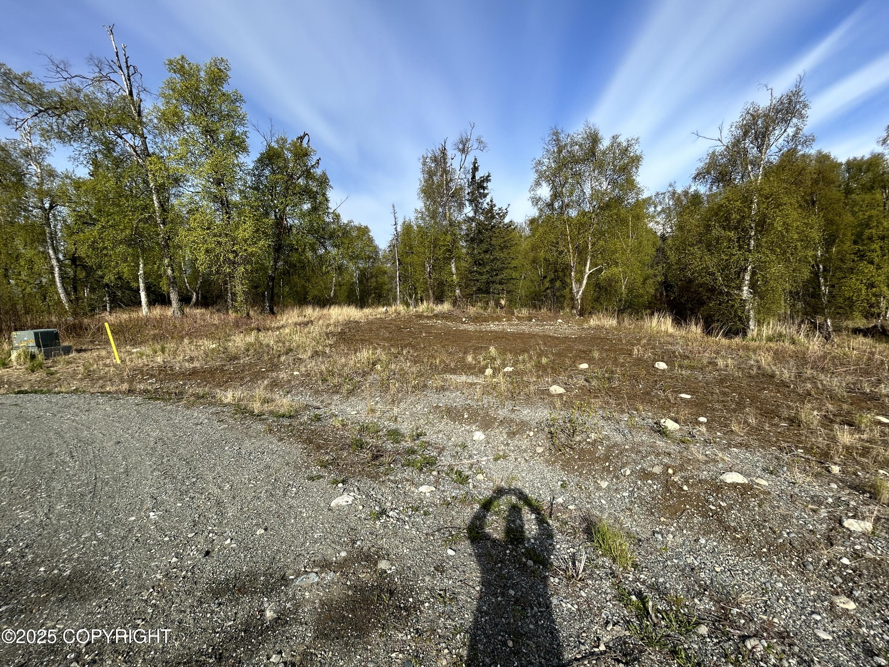 000 N Wasilla Fishhook Road, Wasilla, Alaska image 9