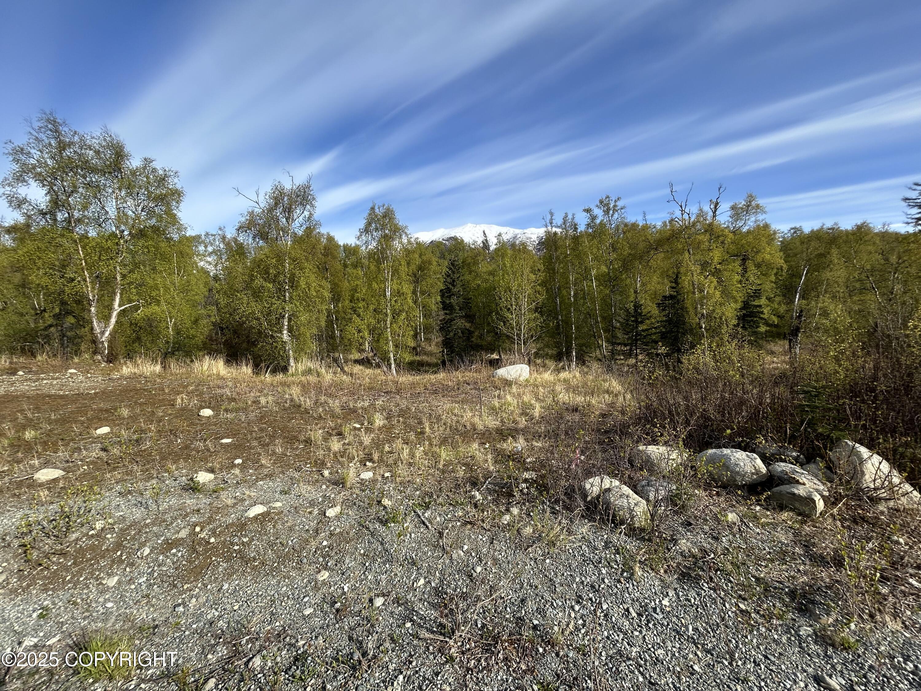 000 N Wasilla Fishhook Road, Wasilla, Alaska image 2