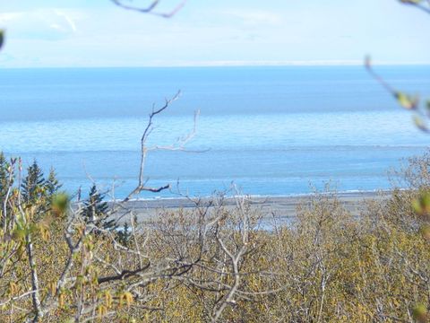 Vacant Land For Sale - 17208 Hyila Lane<br/> Ninilchik, AK 99639