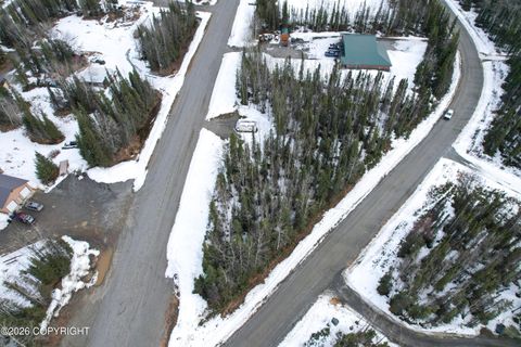 Photo of 37660 Dutch Landing Loop, Sterling, AK 99672 (MLS # 26-4167)