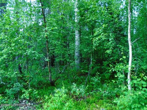 Vacant Land For Sale - 20026 E Deep Woods Way<br/> Willow, AK 99688