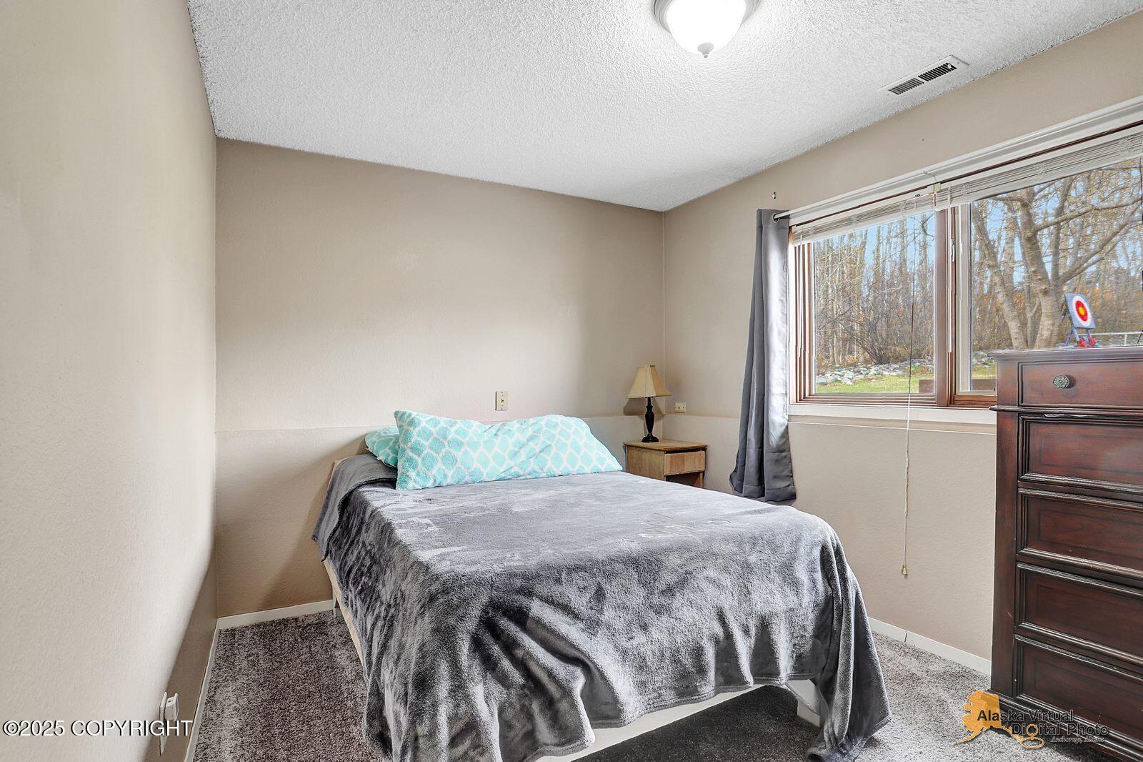 5450 E Alder Drive, Wasilla, Alaska image 23