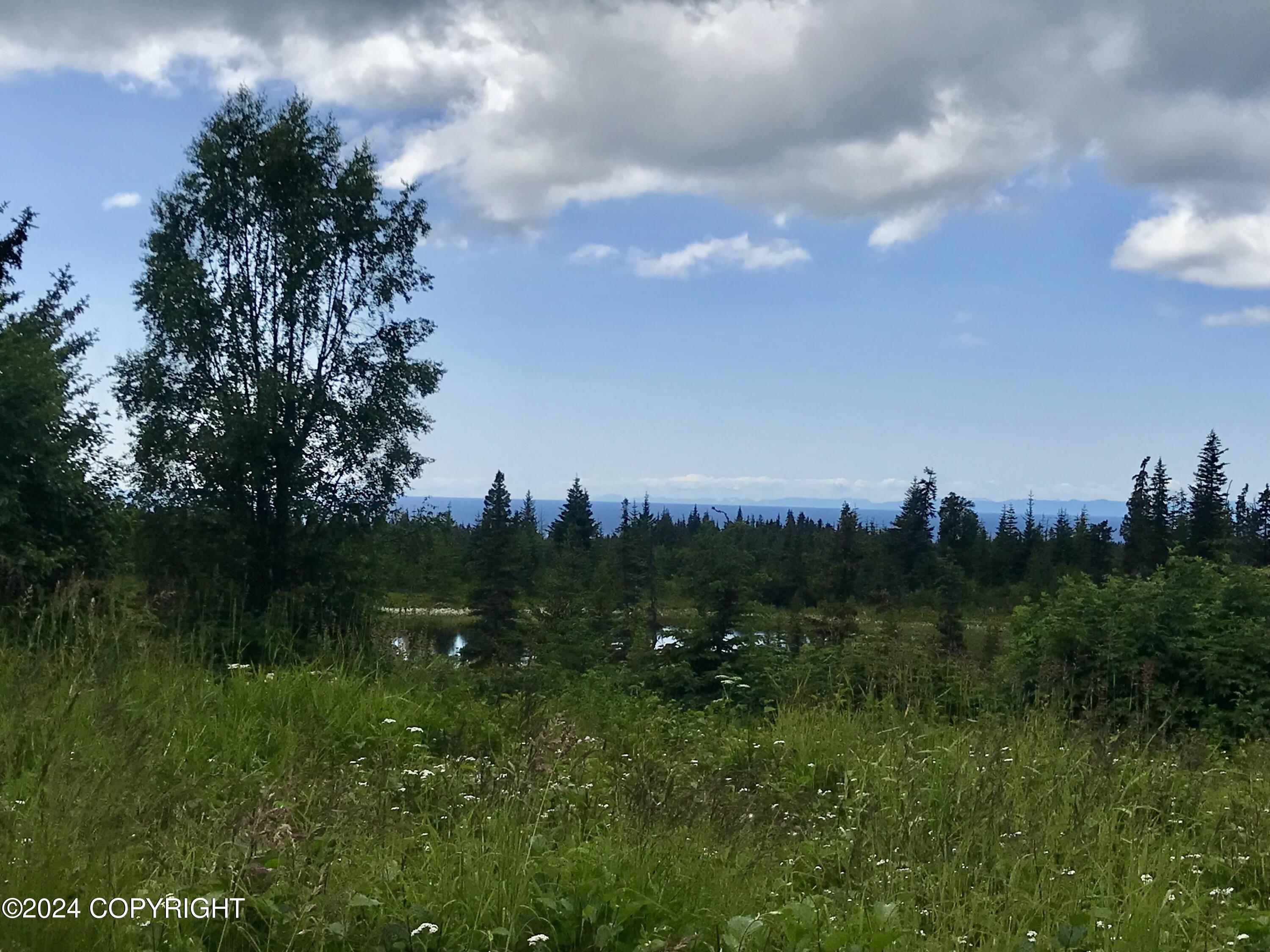 40285 N Sterling Highway, Homer, Alaska image 2