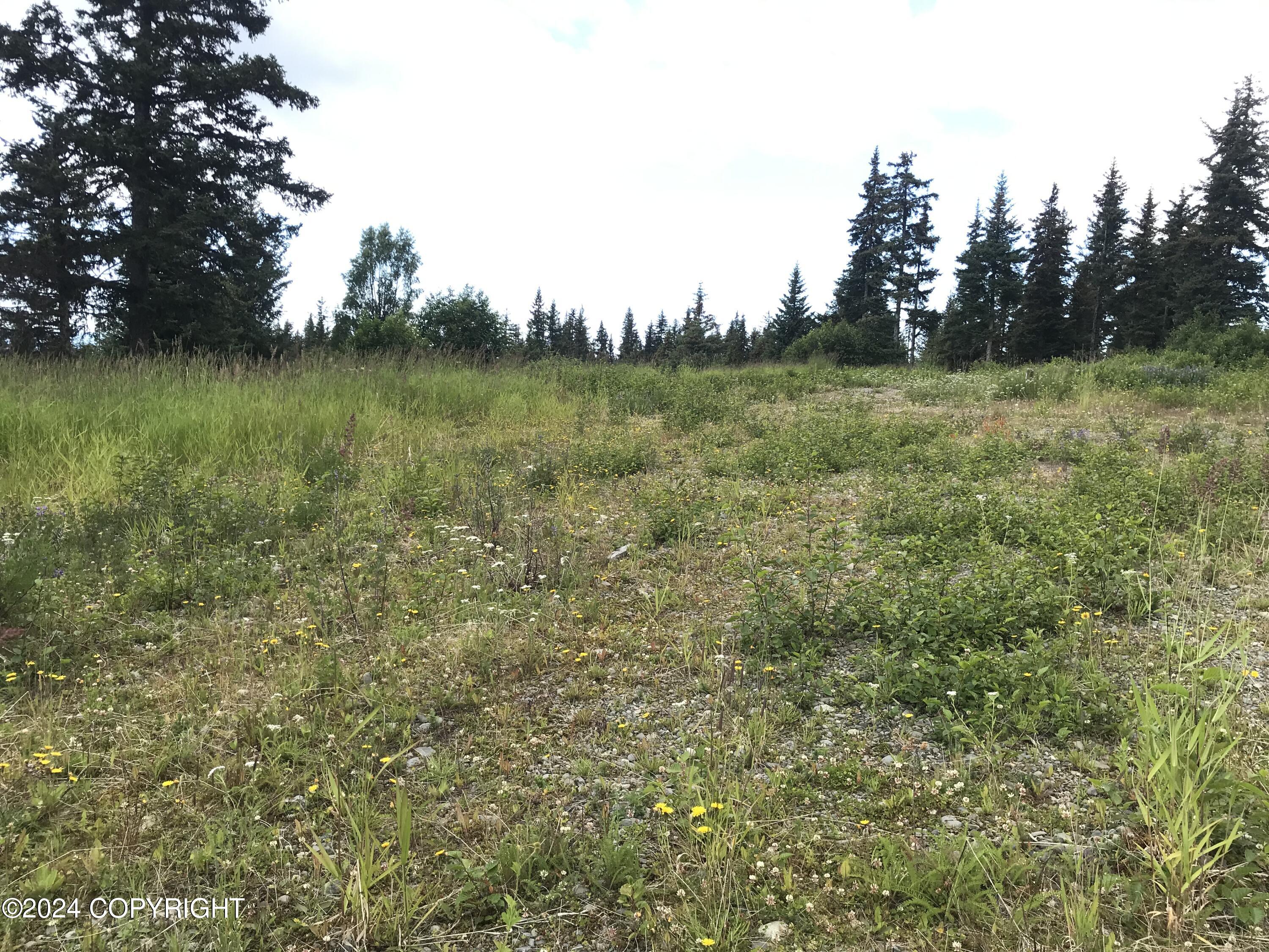 40285 N Sterling Highway, Homer, Alaska image 5