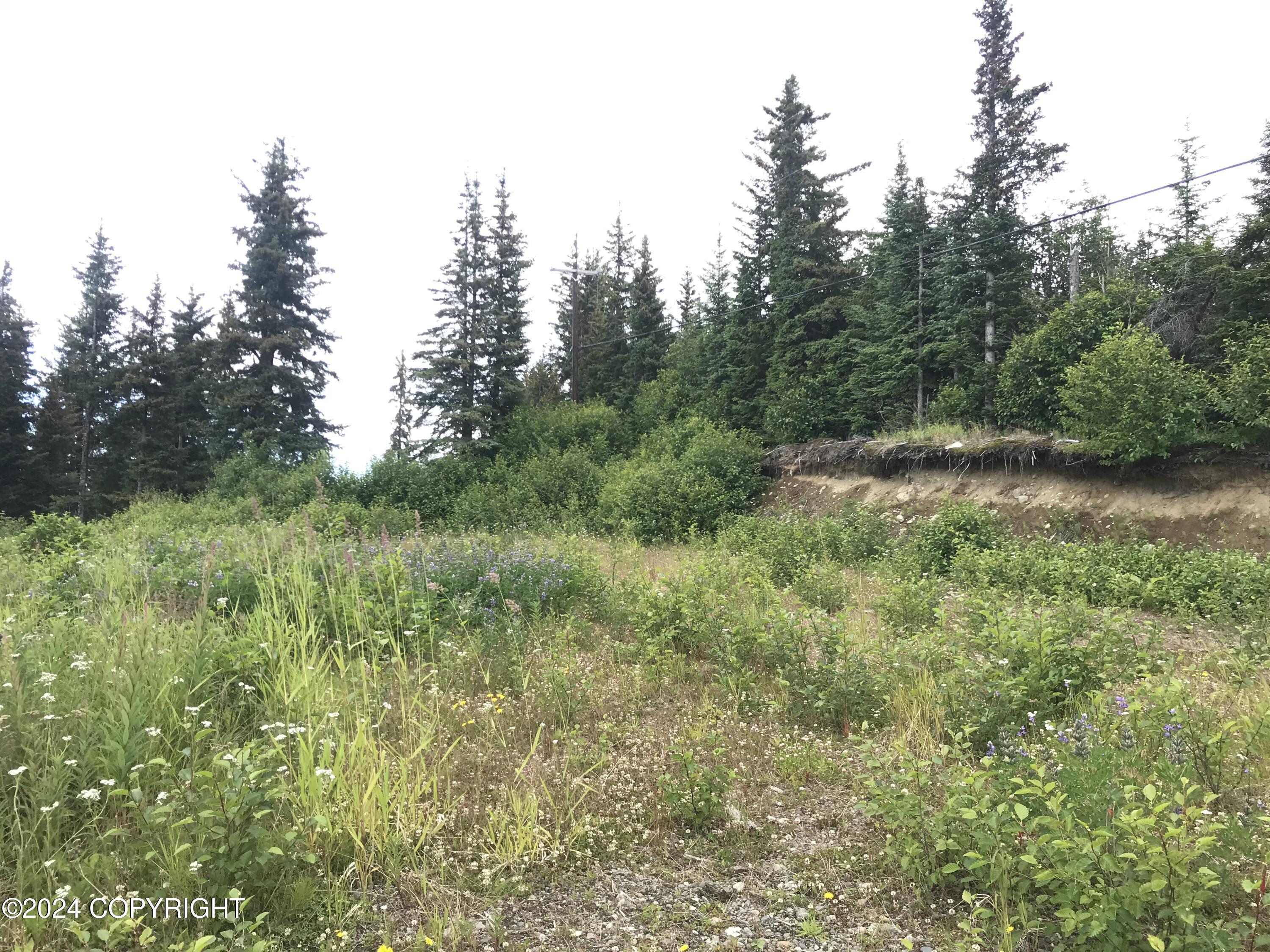 40285 N Sterling Highway, Homer, Alaska image 4