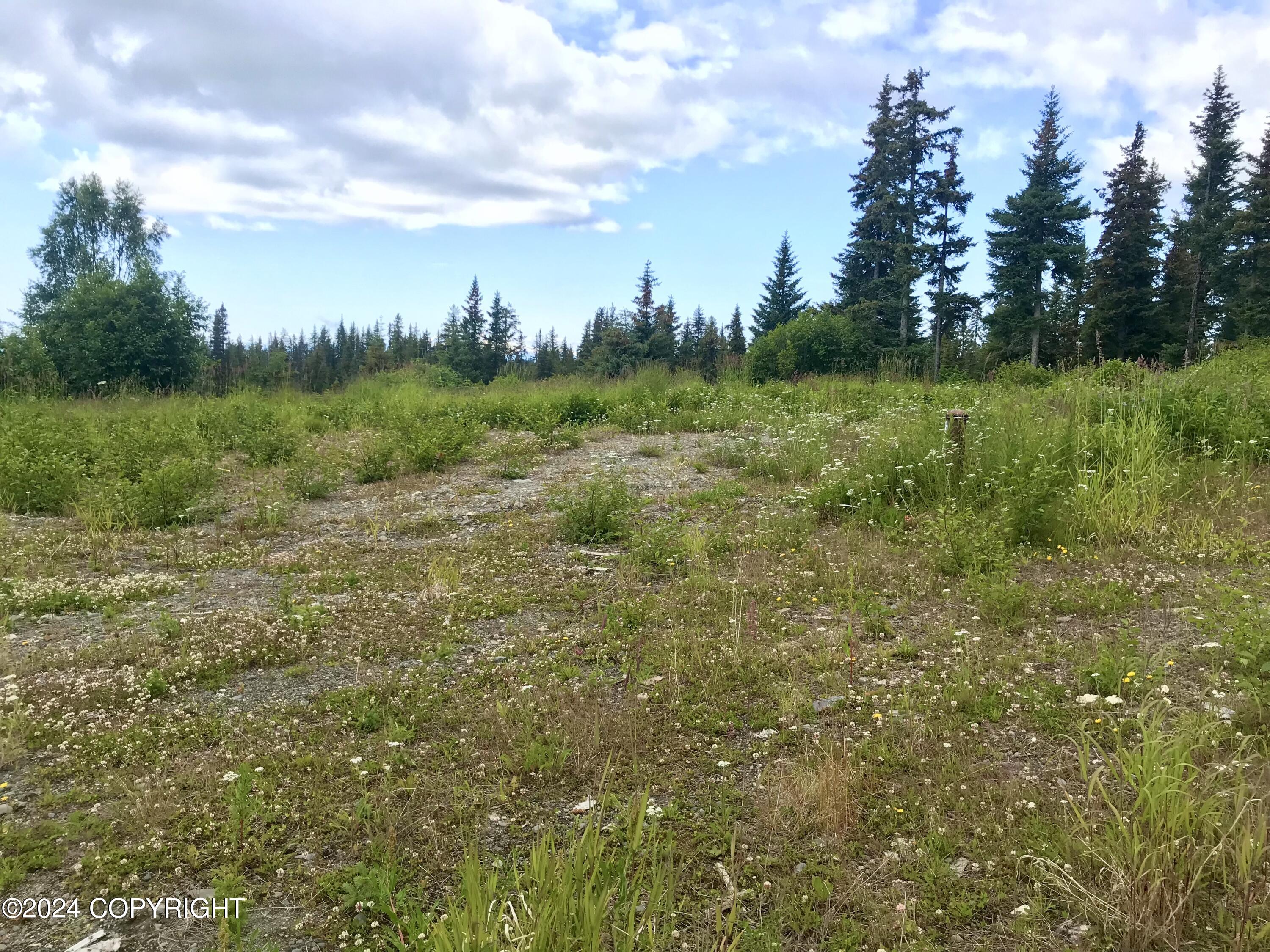 40285 N Sterling Highway, Homer, Alaska image 3