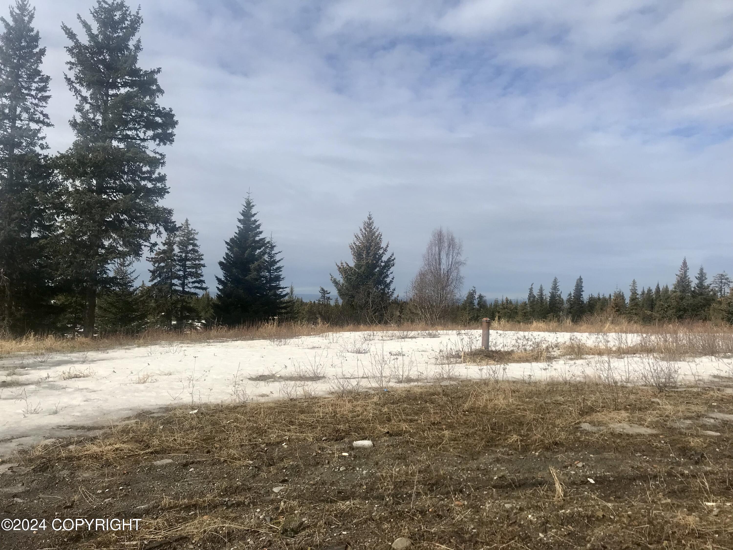 40285 N Sterling Highway, Homer, Alaska image 9