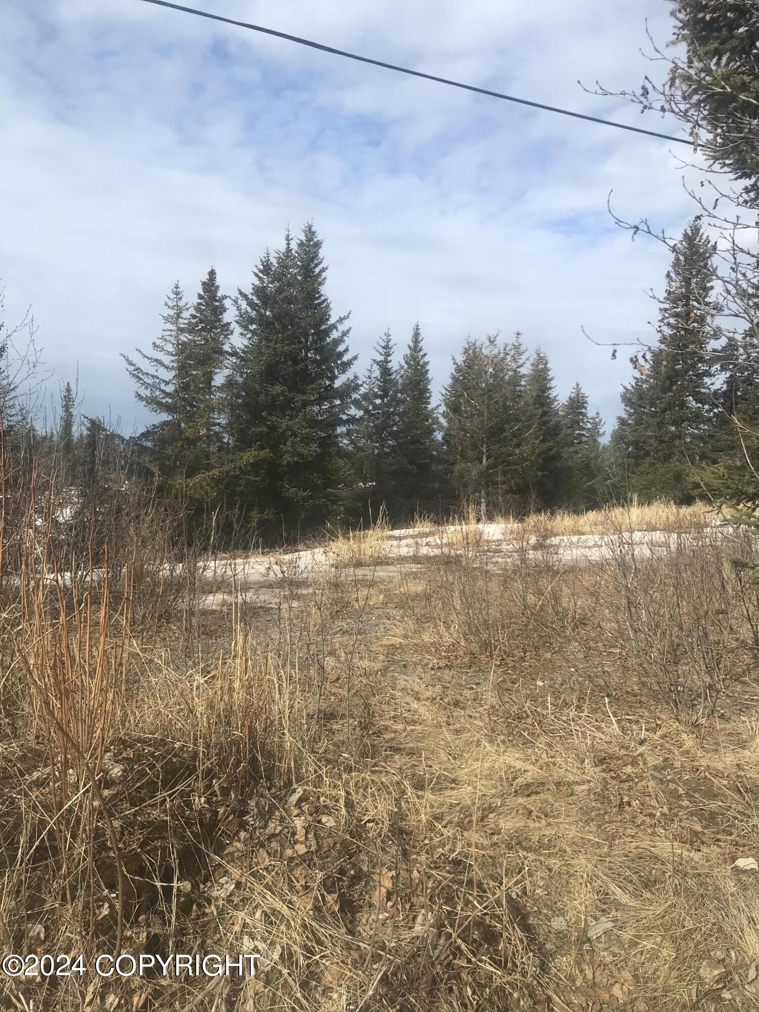 40285 N Sterling Highway, Homer, Alaska image 7