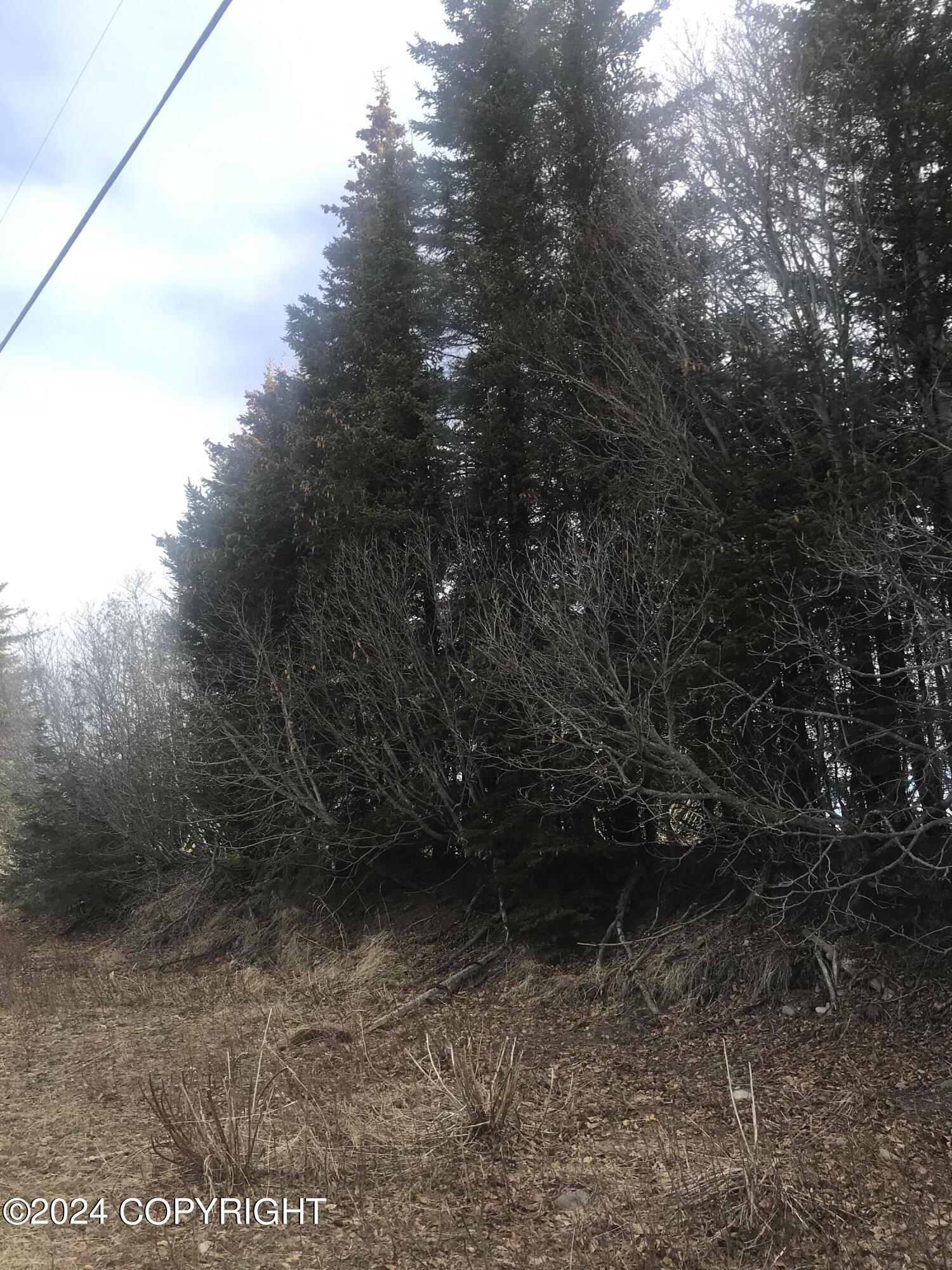 40285 N Sterling Highway, Homer, Alaska image 11