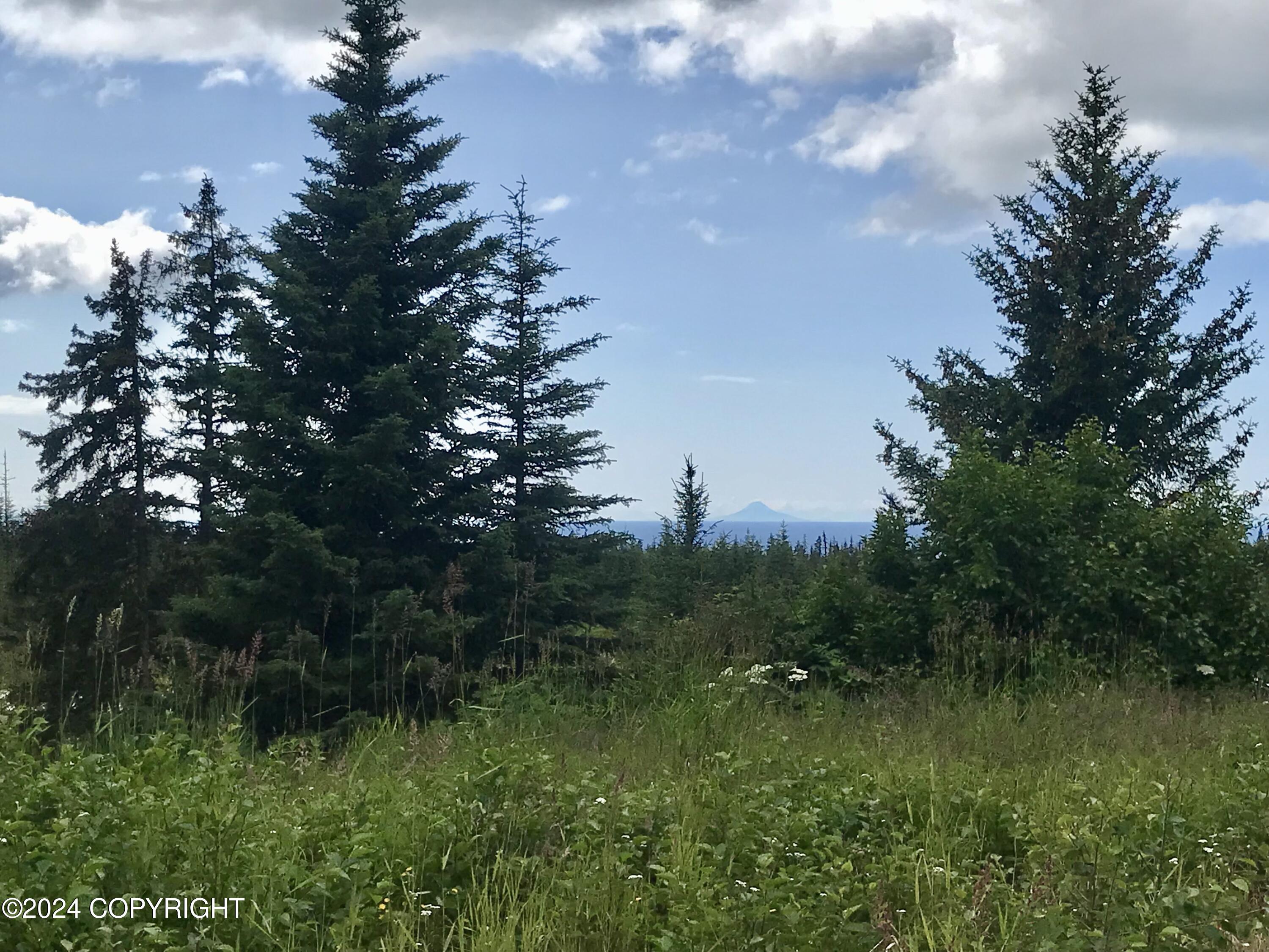 40285 N Sterling Highway, Homer, Alaska image 1