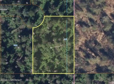 Vacant Land For Sale - 23964 W Johnson Drive<br/> Willow, AK 99688