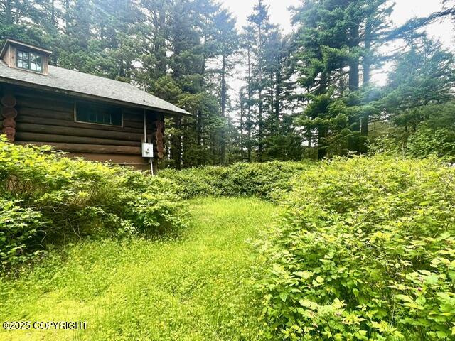 3117 Monashka Bay Road, Kodiak, Alaska image 30