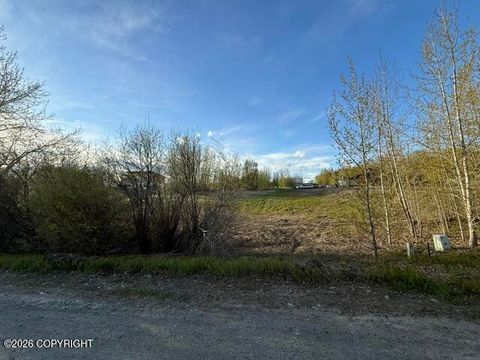 Photo of 15221 E Nina Road, Palmer, AK 99645 (MLS # 26-5908)