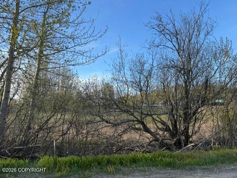 Photo of 15221 E Nina Road, Palmer, AK 99645 (MLS # 26-5908)
