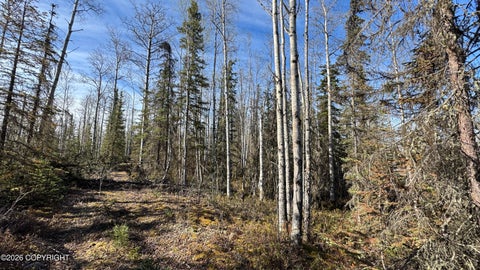 Vacant Land For Sale - 480 N Forest Hills Drive<br/> Wasilla, AK 99623