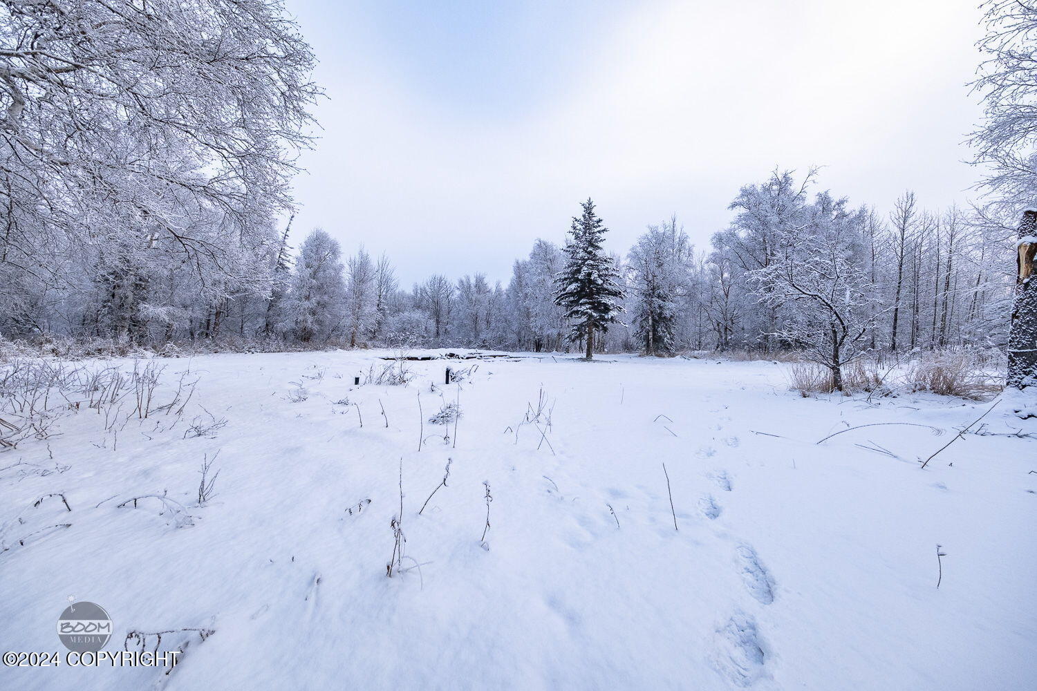 1255 N Little Brook Lane, Palmer, Alaska image 6