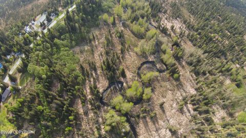 Vacant Land For Sale - 65862 Explorer Court<br/> Anchor Point, AK 99556