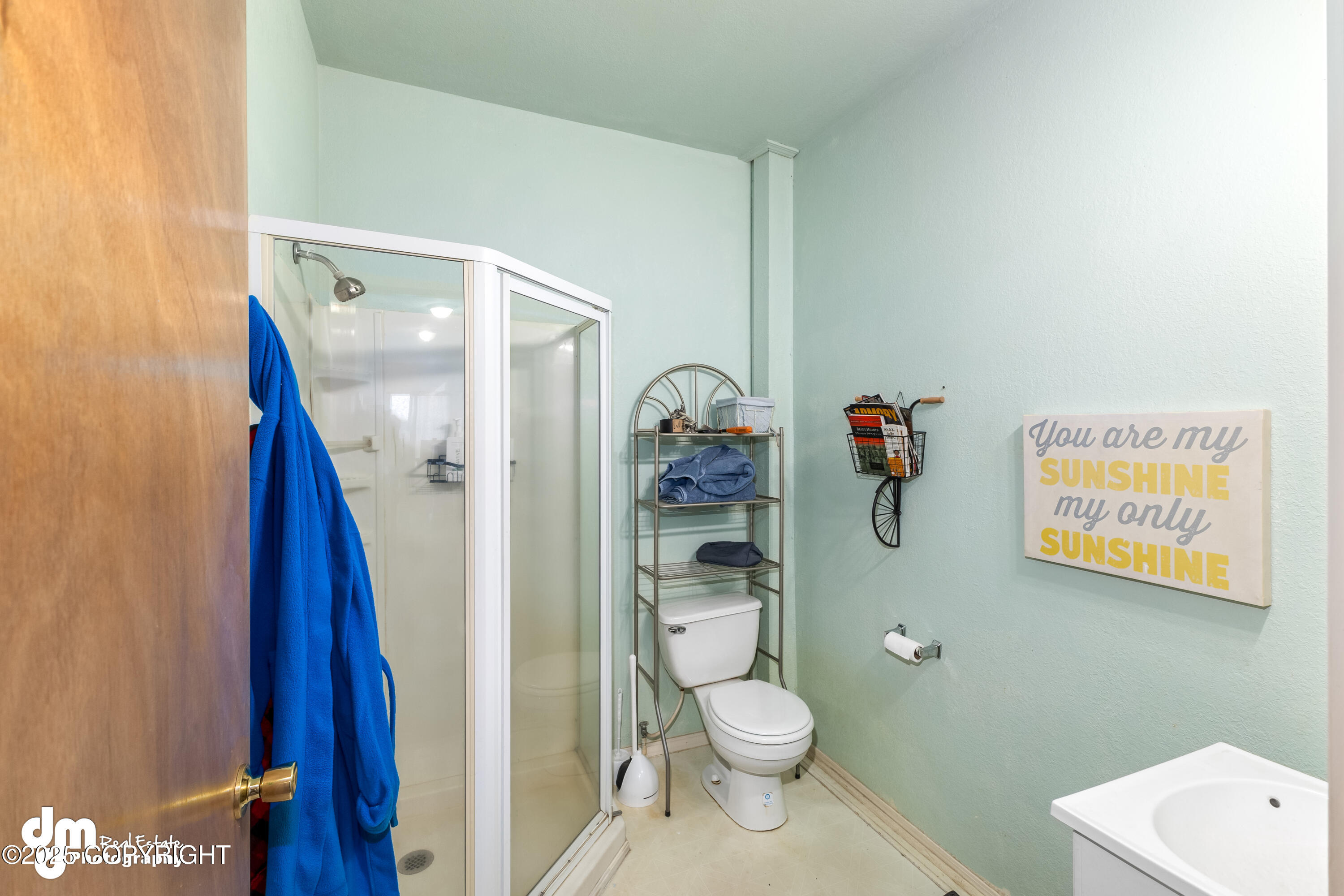 65265 Knob Hill Road #102, Anchor Point, Alaska image 45