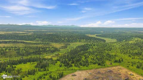 Vacant Land For Sale - 67381 Stoddard Avenue<br/> Anchor Point, AK 99556