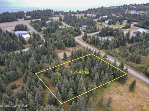 Vacant Land For Sale - 72755 Grumman Avenue<br/> Anchor Point, AK 99556
