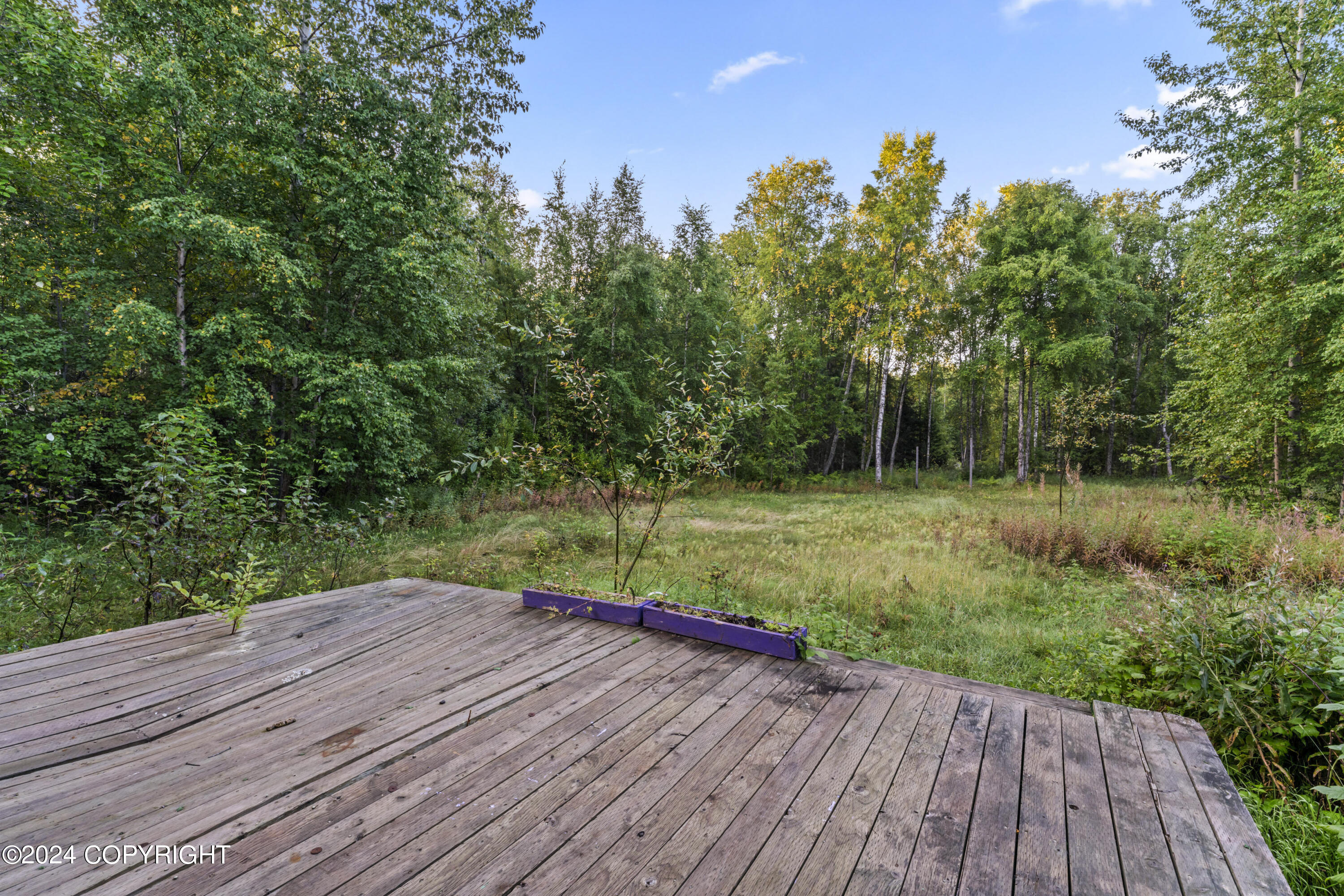 16756 E Moose Hollow Avenue, Talkeetna, Alaska image 8