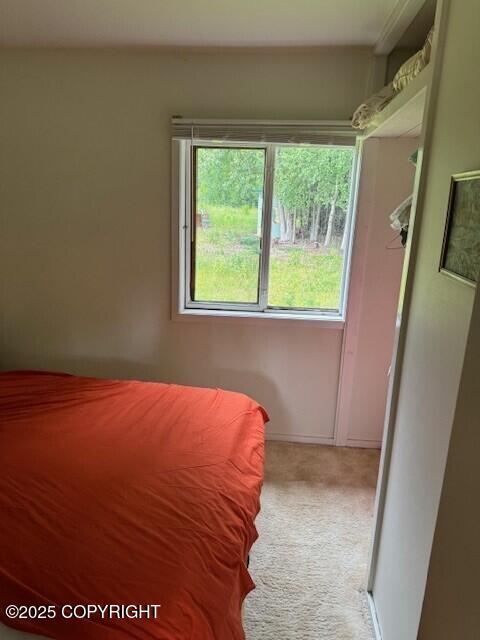 Tr A-5 Pomeroy Road, Homer, Alaska image 14