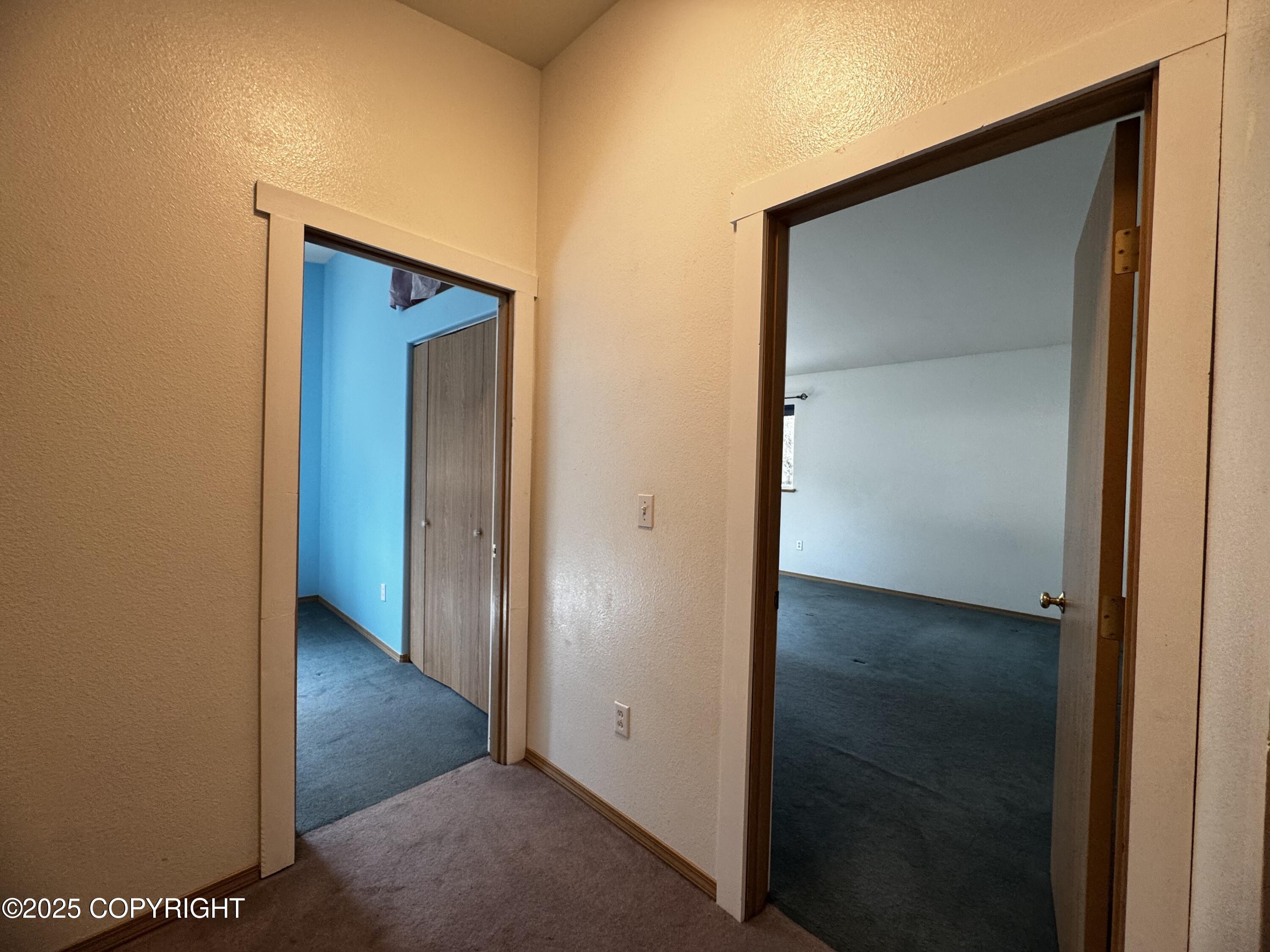 33325 Vinewood Lane, Seward, Alaska image 11