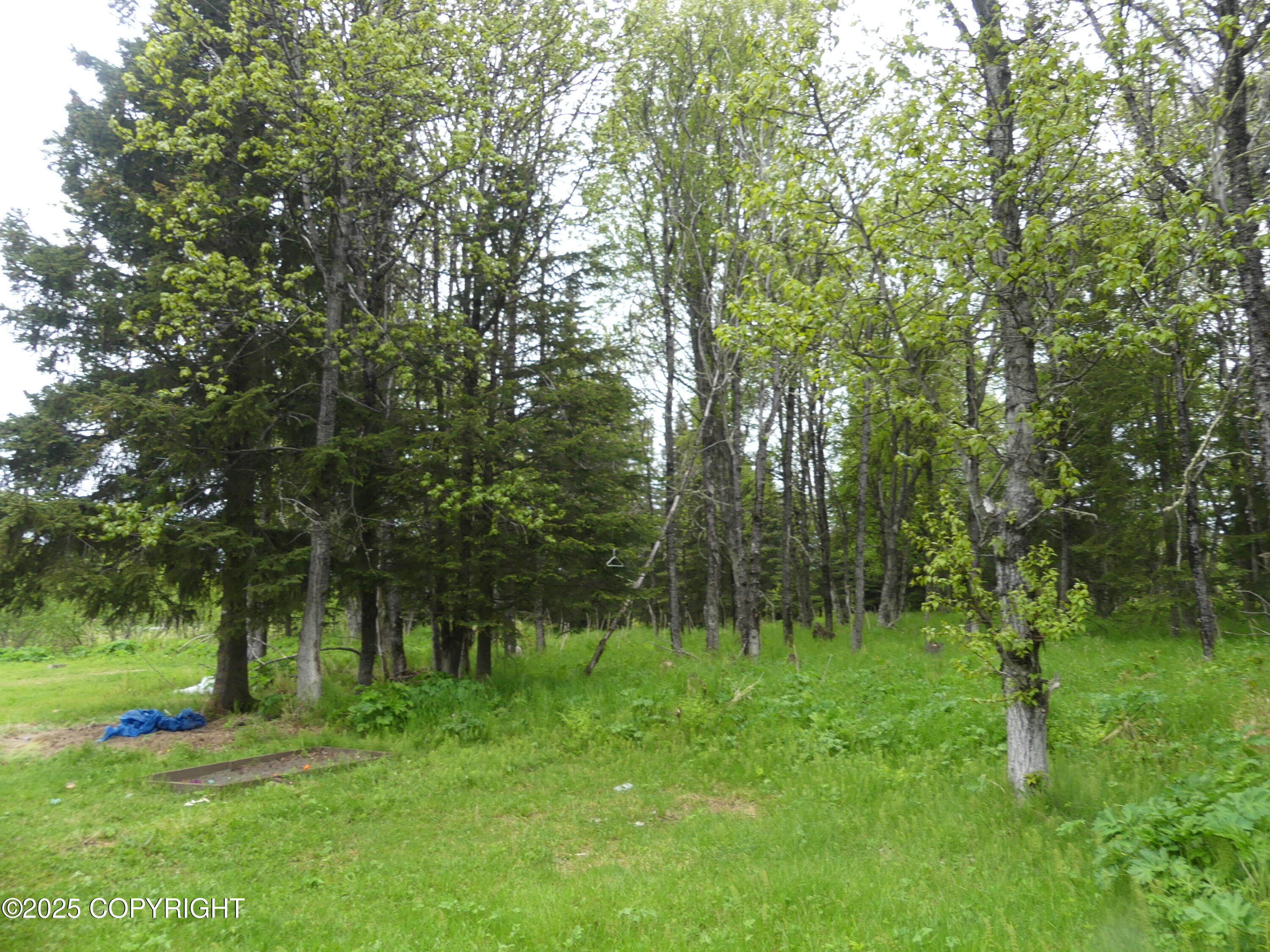13090 Sterling Highway, Ninilchik, Alaska image 24