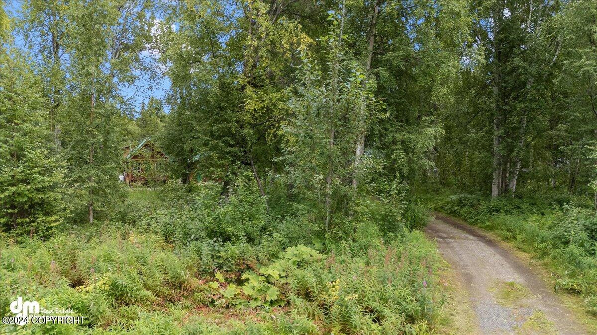 11707 E Remote Lane, Willow, Alaska image 35