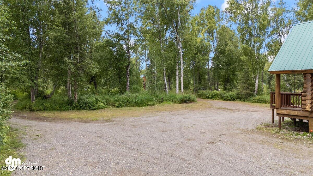 11707 E Remote Lane, Willow, Alaska image 34