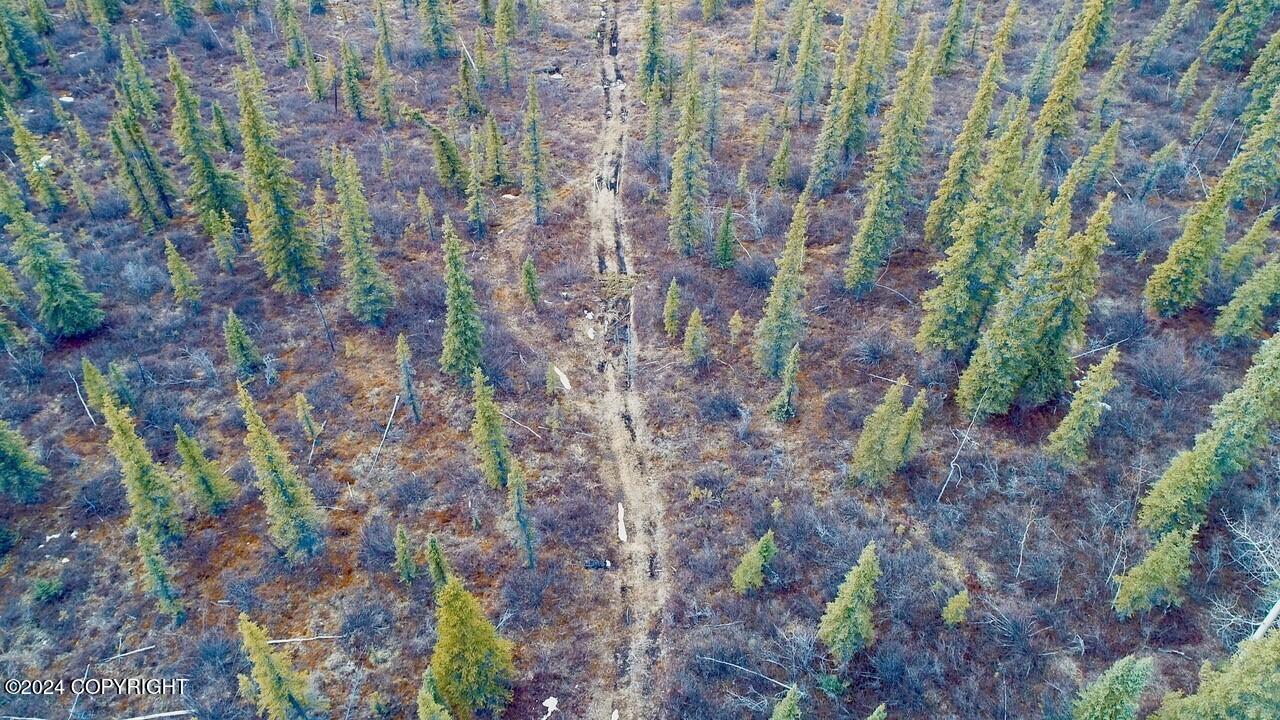 B4 - L4 Jude No Road Road, Glennallen, Alaska image 15